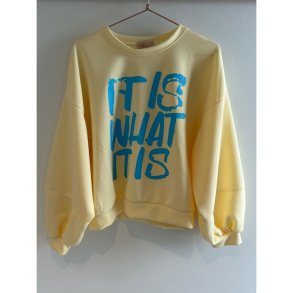 WILTP Sweatshirt yellow