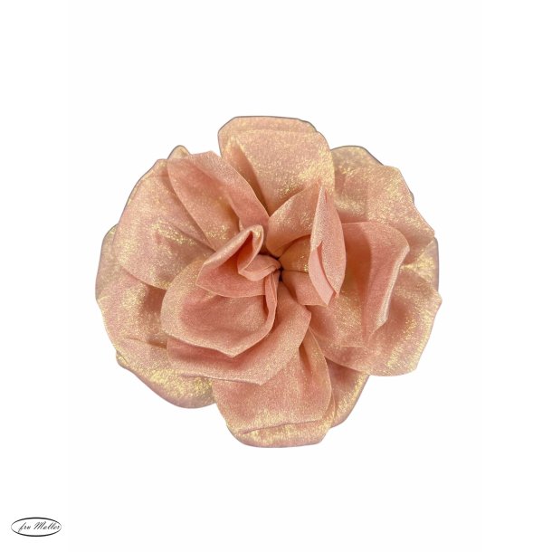Wilto Flower rose