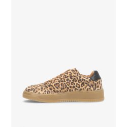 Phenumb Explore sneakers leopard