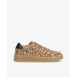 Phenumb Explore sneakers leopard