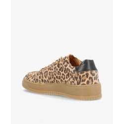 Phenumb Explore sneakers leopard